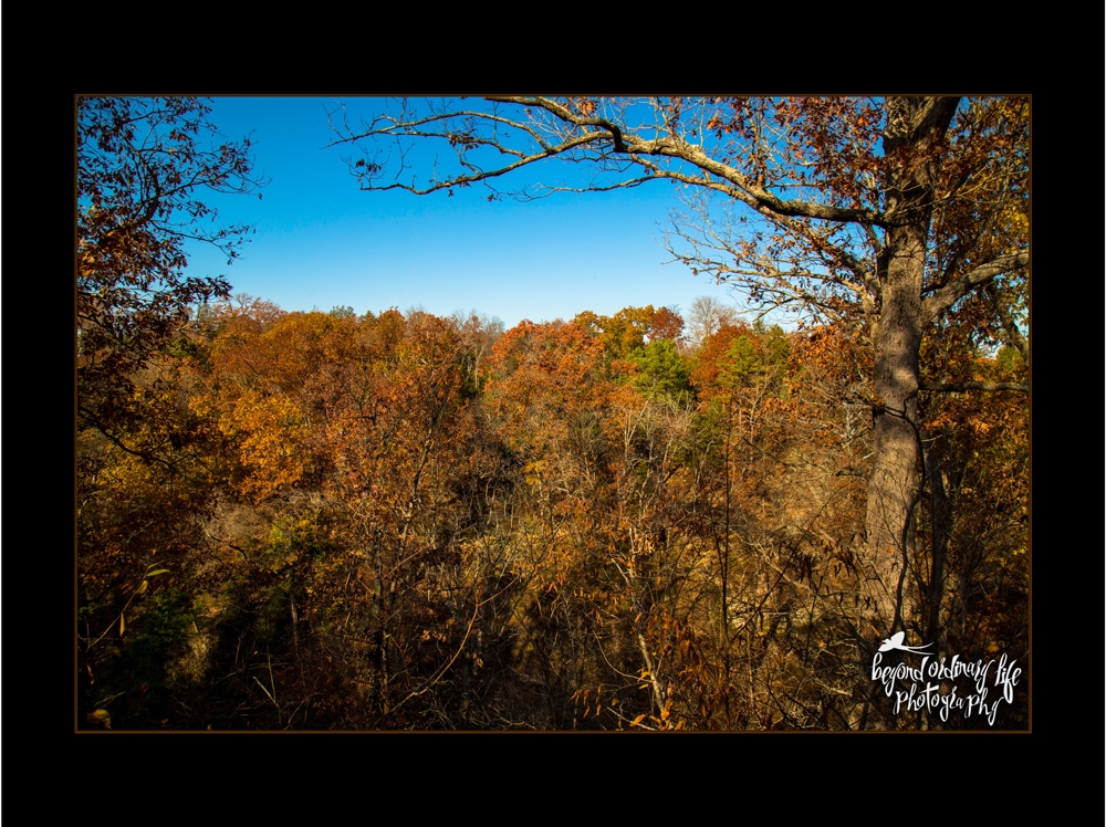 Natural Falls State Park